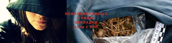соль ск Абаза