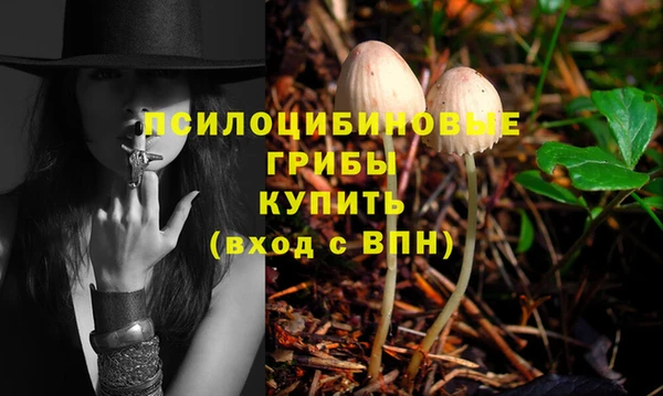 экстази Алексеевка