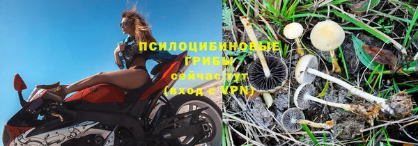 мяу мяу мука Алексин