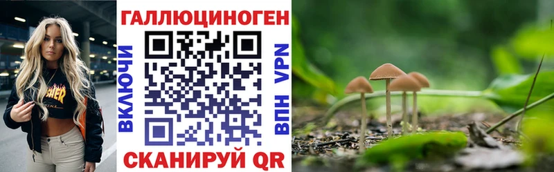 магазин    Бирюсинск  Галлюциногенные грибы MAGIC MUSHROOMS 